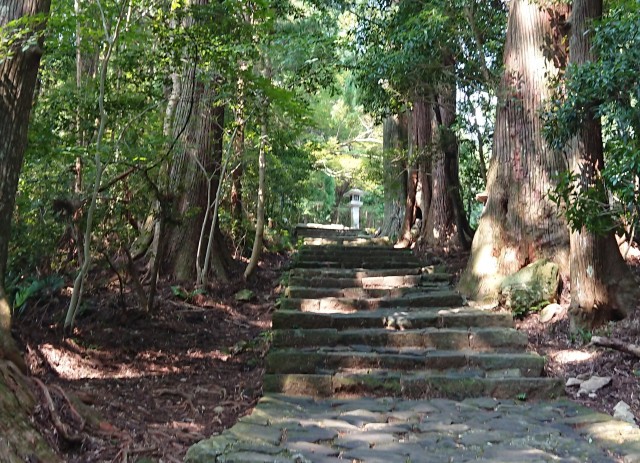 Faremos a caminhada na estrada Kumano, é uma das estradas de peregrinação mais conhecidas em todo o Japão.